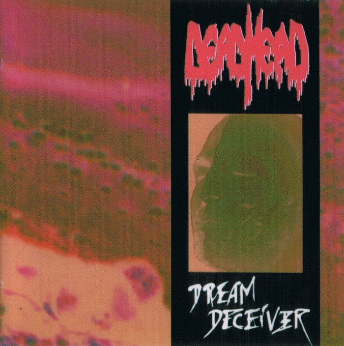 cover-deadhead02