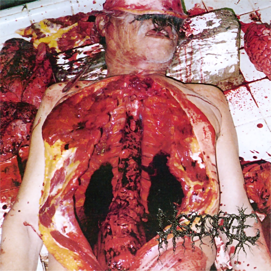 cover-disgorge.jpg cover-disgorge.jpg
